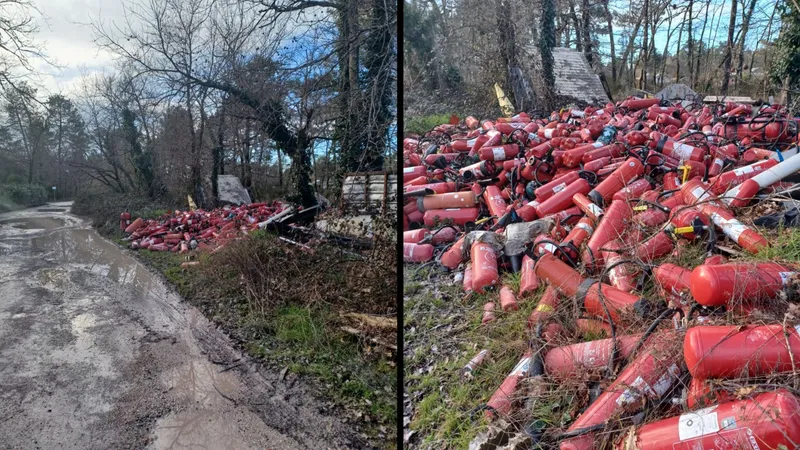 Gironde : la décharge sauvage du chemin Palus scandalise les élus et habitants