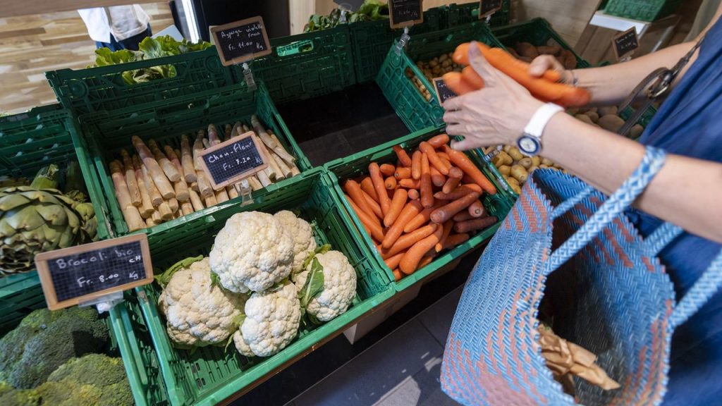 Manger local à Bordeaux : le guide ultime des saveurs authentiques et des circuits courts