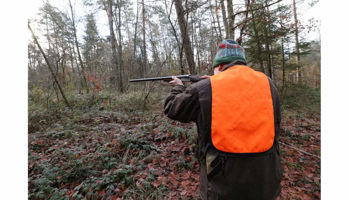 Targon : un chasseur touché par une balle