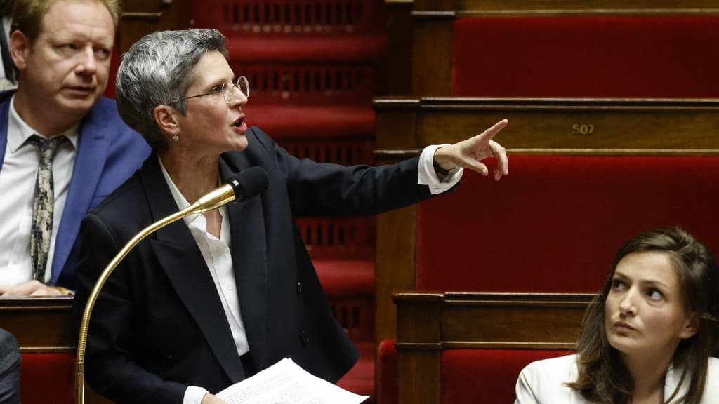 Pesticides et rentabilité : la charge frontale de Sandrine Rousseau contre la loi Duplomb