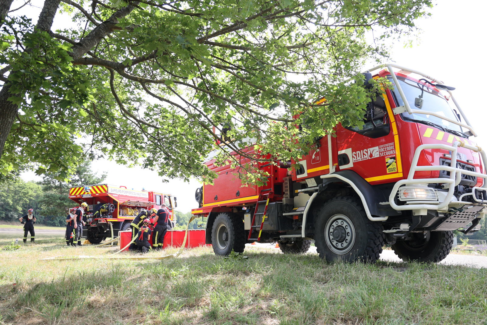 Feu de forêt dans le Médoc : quatre hectares partis en fumée
