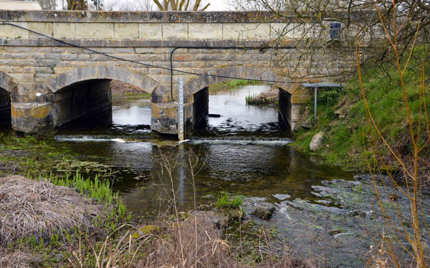 Un été sec et un automne incertain : sécheresse en Gironde