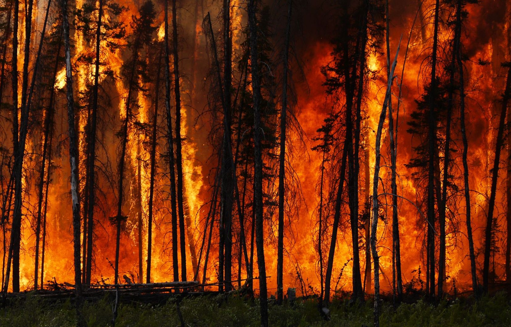 Listrac-Médoc : départ de feu, deux hectares détruits