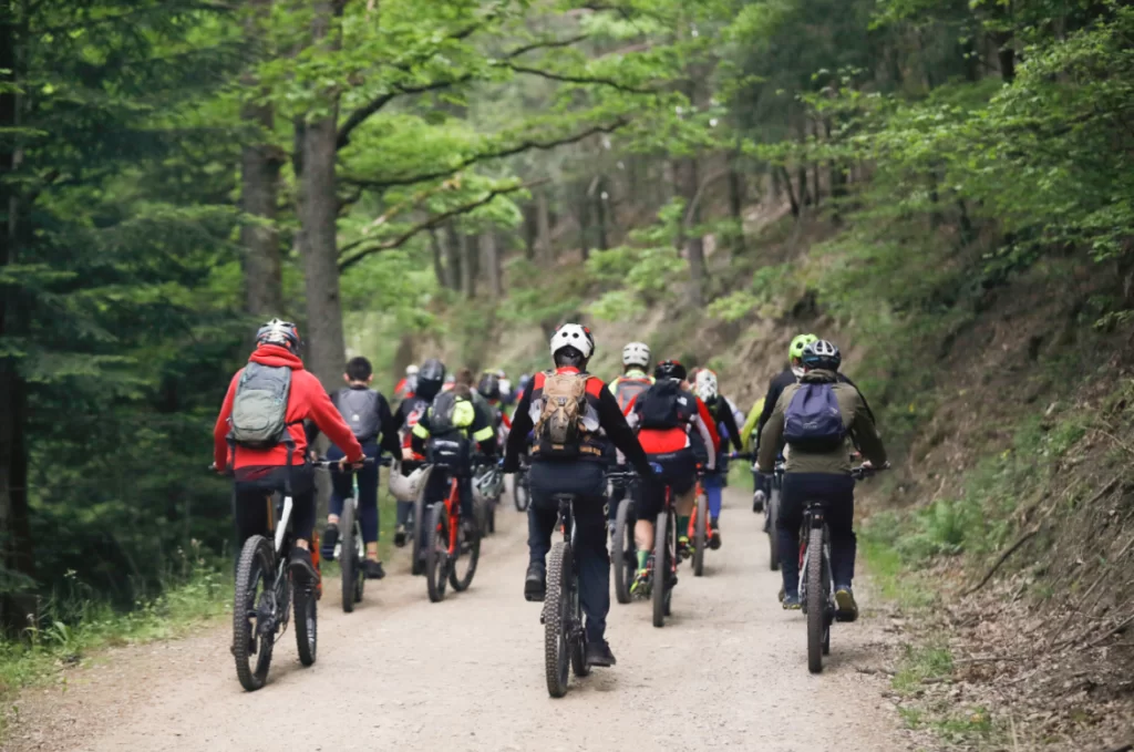 Mobilité douce : Le Teich déploie un circuit de 16 km pour ses habitants et visiteurs