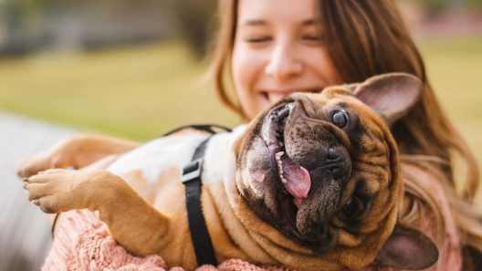 Yummypets : Une start-up bordelaise transforme les animaux en vedettes du web