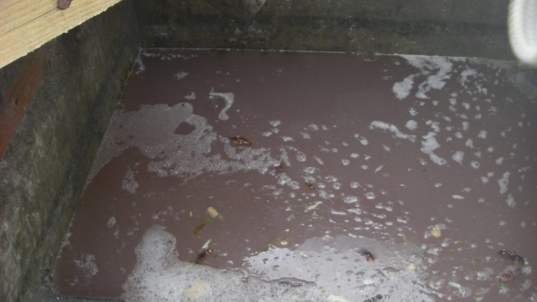 Excréments et eaux usées inondent des appartements à Villenave-d’Ornon