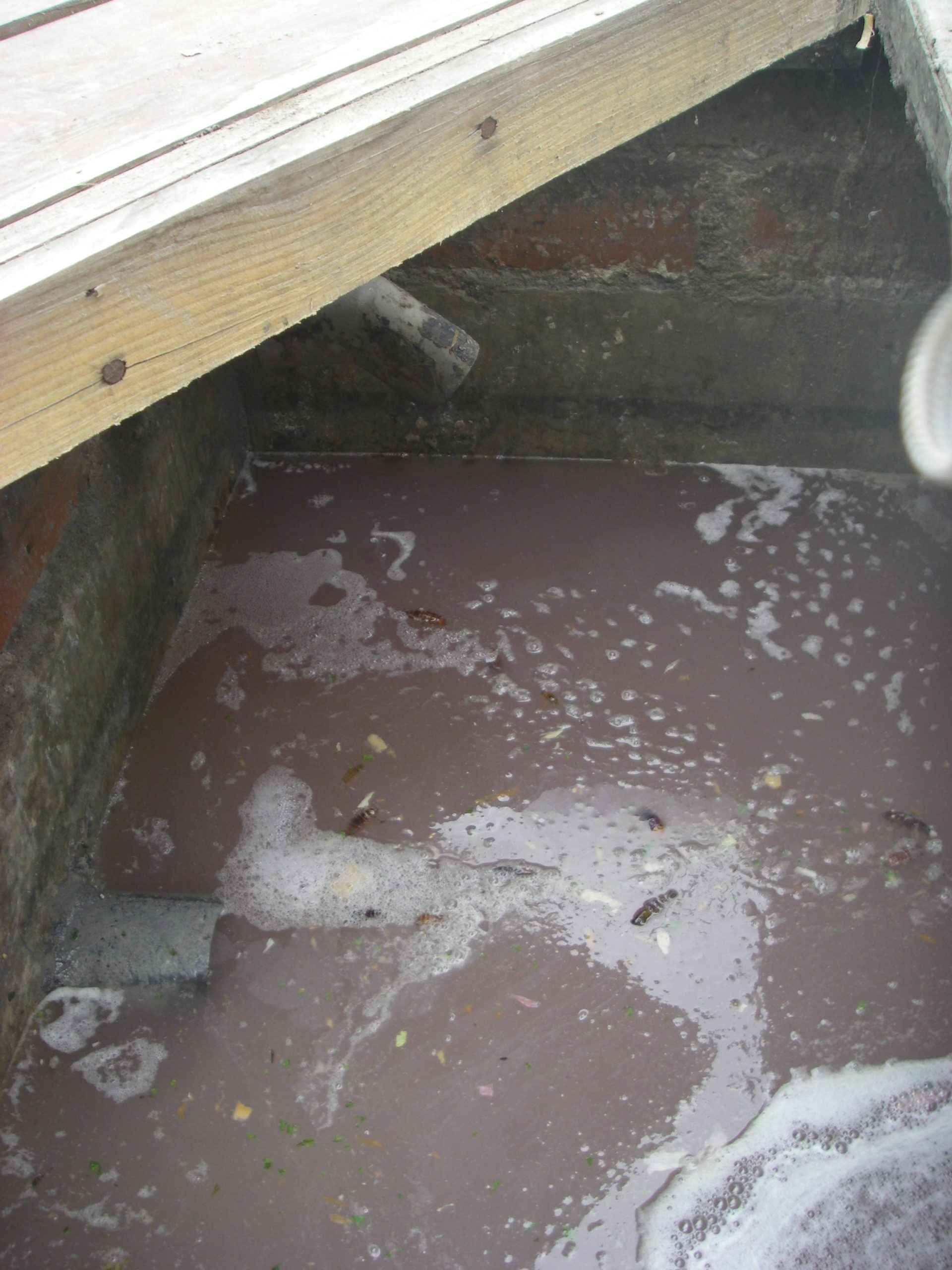 Excréments et eaux usées inondent des appartements à Villenave-d’Ornon