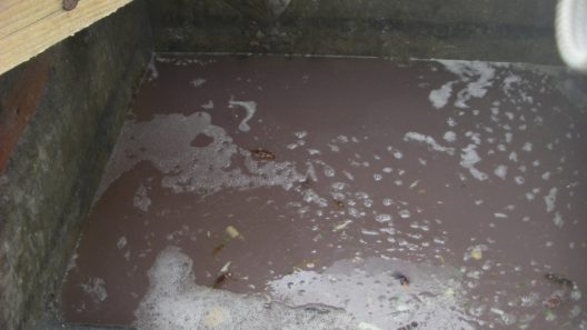 Excréments et eaux usées inondent des appartements à Villenave-d’Ornon