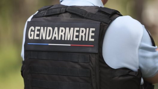 L’Isle-Saint-Georges : un ULM s’écrase en Gironde, le rapport du BEA dévoile les causes