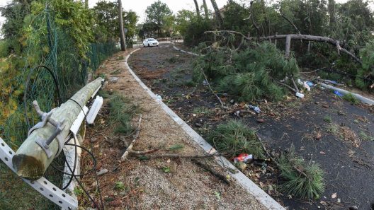 Tempête Benjamin : la Gironde se prépare à des rafales jusqu’à 120 km/h
