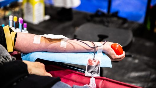 Pessac se mobilise pour sauver des vies : grande collecte de sang sur le campus